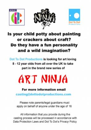 Art Ninja Poster